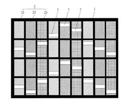 Display substrate and display apparatus