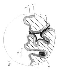 Layer compositions with improved electrical parameters comprising PEDOT/PSS and a stabilizer