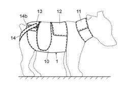 POST-SURGICAL PROTECTIVE GARMENT FOR PETS