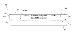 GLASS, GLASS-CERAMIC AND CERAMIC ARTICLES WITH LUBRICIOUS ANTI-FINGERPRINT COATINGS AND METHODS OF MAKING THE SAME