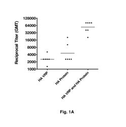 Alphavirus replicon particles matched to protein antigens as immunological adjuvants