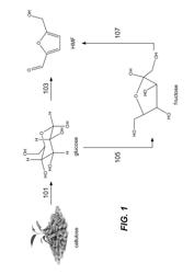 HMF production from glucose in ionic liquid media