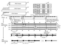 OTN adaptation for support of subrate granularity and flexibility and for distribution across multiple modem engines