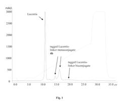 Protecting Group Comprising a Purification Tag