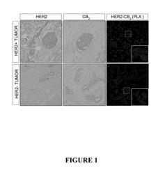 Prognostic Method and Kits Useful in Said Method