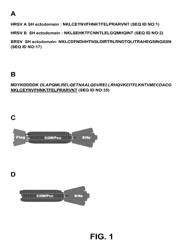 Respiratory syncytial virus vaccine