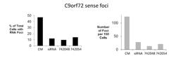 COMPOUNDS AND METHODS FOR MODULATING C90RF72