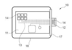 BIOCOMPATIBLE COMPOSITE SYSTEM