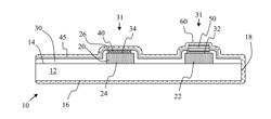 ANALYTE SENSORS AND METHODS FOR FABRICATING ANALYTE SENSORS