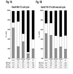 COMBINATION THERAPY INVOLVING ANTIBODIES AGAINST CLAUDIN 18.2 FOR TREATMENT OF CANCER