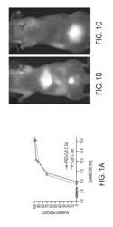 MULTIMODAL SILICA-BASED NANOPARTICLES