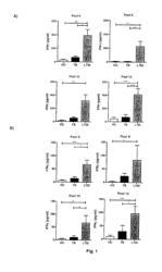 COMPOSITIONS USEFUL IN THE DIAGNOSTIC OF LATENTLY INFECTED MYCOBACTERIUM TUBERCULOSIS