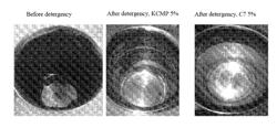 DETERGENT COMPOSITIONS FOR CLEANING IN THE COSMETIC AND PHARMACEUTICAL INDUSTRY