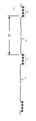 HIGH THROUGHPUT NUCLEIC ACID SEQUENCING BY EXPANSION