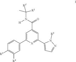 PYRAZOL-PYRIDINE DERIVATIVES