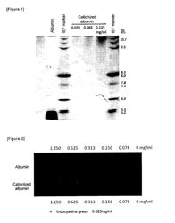 Articular cartilage imaging composition