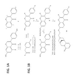 CYTISINE-LINKED ISOFLAVONOID ANTINEOPLASTIC AGENTS FOR THE TREATMENT OF CANCER