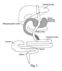 Compositions of microbiota and methods related thereto