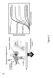 Superagonists, partial agonists and antagonists of interleukin-2