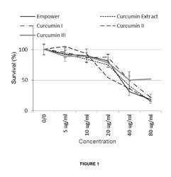 CURCUMIN-BASED COMPOSITIONS & METHODS OF USE THEREOF