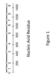 Network-Based Microbial Compositions and Methods