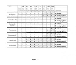 FATTY ACID MONOGLYCERIDE COMPOSITIONS