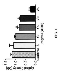 METHOD OF USING A DATE FRUIT EXTRACT TO TREAT OR PREVENT CANCER