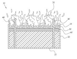 Fire Starter and Method for Making and Using the Same