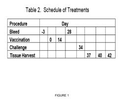 Inhalable vaccine compositions and methods