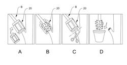 Horticultural Propagation Capsule And Kit Containing Same