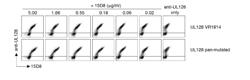 HUMAN CYTOMEGALOVIRUS NEUTRALIZING ANTIBODIES AND USE THEREOF