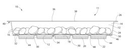 METHODS OF PACKAGING AND PRESERVING MOLLUSKS