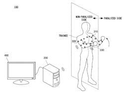 REHABILITATION EVALUATION APPARATUS, REHABILITATION EVALUATION METHOD, AND REHABILITATION EVALUATION PROGRAM