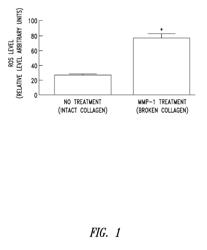 COMPOSITIONS AND METHODS FOR SKIN CARE