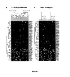 Methods and systems for predicting cancer outcome