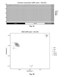 METHOD OF IDENTIFYING A GENE ASSOCIATED WITH A DISEASE OR PATHOLOGICAL CONDITION OF THE DISEASE