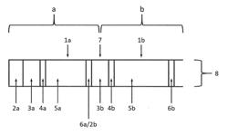 PYROTECHNIC DELAY ELEMENT DEVICE