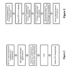 Cu2XSnY4 Nanoparticles