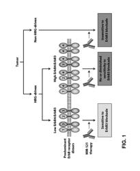 Biomarkers for predicting outcomes of cancer therapy with ErbB3 inhibitors