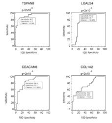 METHOD AND KIT FOR THE DIAGNOSIS OF COLORECTAL CANCER