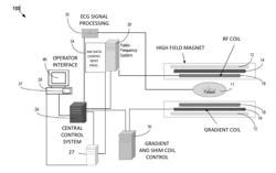 MRI Pulse Sequence Design