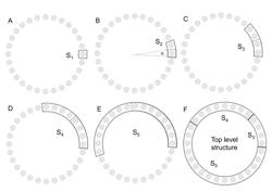 HIGHLY EFFICIENT DATA REPRESENTATION OF DENSE POLYGONAL STRUCTURES