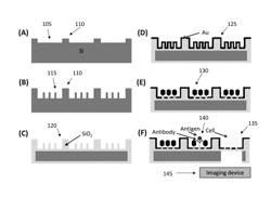 Multiplexed surface enhanced Raman sensors for early disease detection and in-situ bacterial monitoring