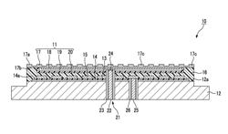 Corrosion-resistant member and electrostatic chuck device