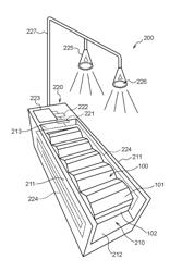 Inspection system, inspecting device, and gaming chip