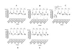 MYCOPLASMA VACCINES AND USES THEREOF