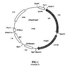 HUMANIZED ANTIBODY IGG1