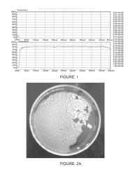 A PROCESS FOR PRODUCING A THERMOFUNCTIONAL NANOSTRUCTURE OBTAINED VIA POLYMERIZATION IN EMULSION