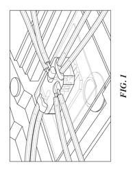 Organ Chips And Uses Thereof