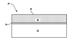 Nucleation layers for enhancing photocatalytic activity of titanium dioxide (TiO2) coatings